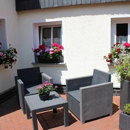 Maisonette-fewo Fritz Mit Infrarotsauna Apartment Grossschoenau