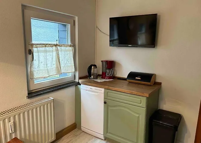 Infrarotsauna & Platz Fuer Familien - Maisonette Fritz In Apartment Grossschoenau