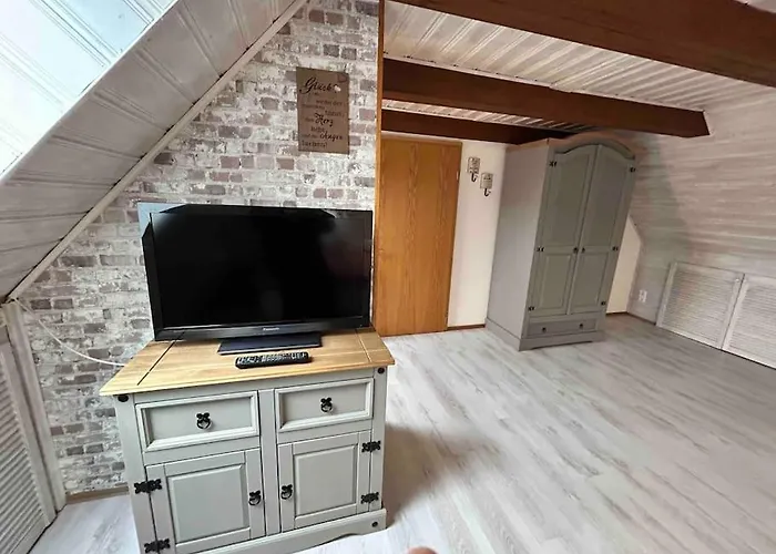 Apartment Infrarotsauna & Platz Fuer Familien - Maisonette Fritz In Grossschoenau